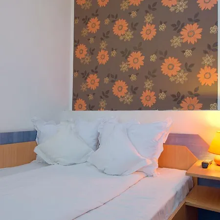 Pensiunea Leo 3* Brasov