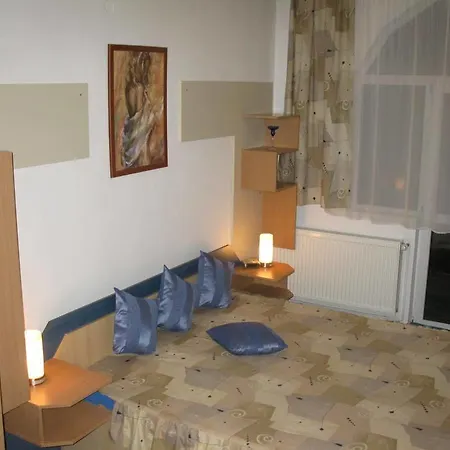 Pensiunea Leo Vendégház 3*
